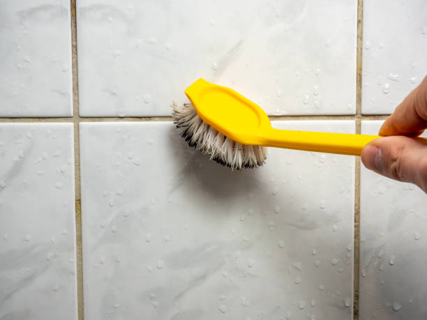 Best Mold Removal Company Near Me  in Harrison, MI