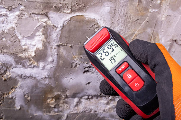 Best Attic Mold Removal  in Harrison, MI