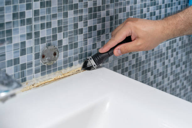 Best Mold Remediation Experts  in Harrison, MI